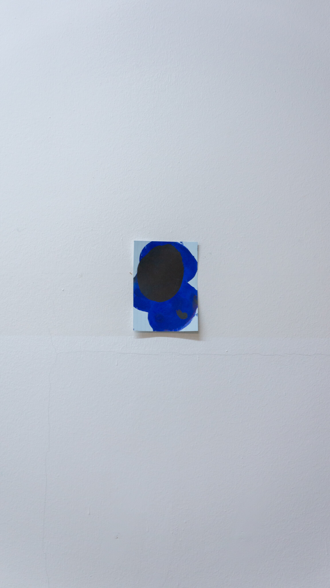 Installation photo of an art show
