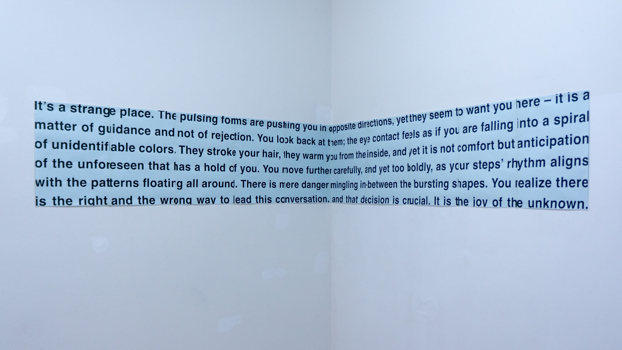Installation photo of an art show