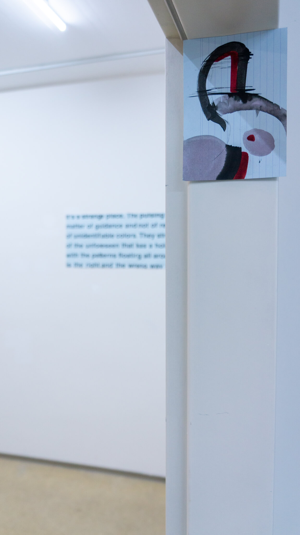 Installation photo of an art show