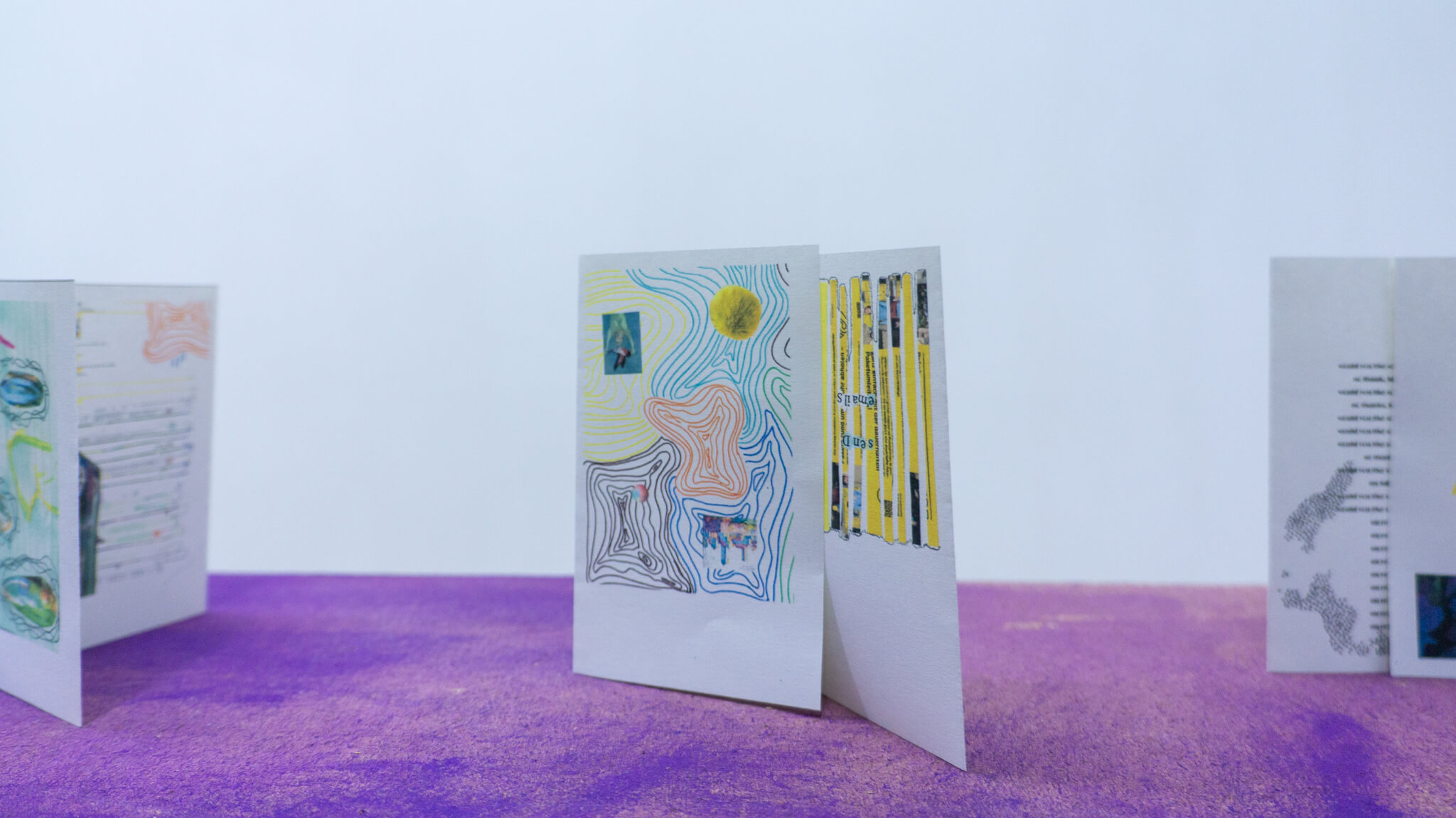Installation photo of an art show