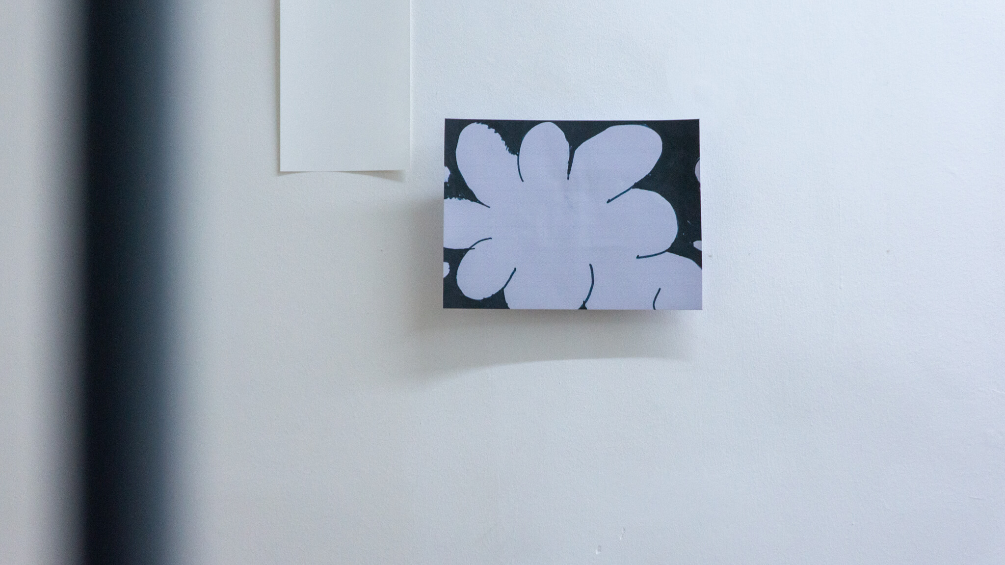 Installation photo of an art show