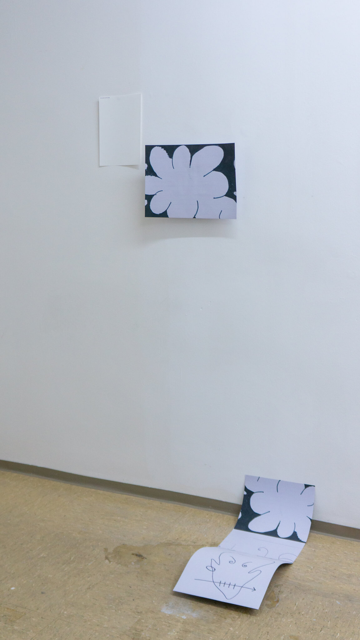 Installation photo of an art show