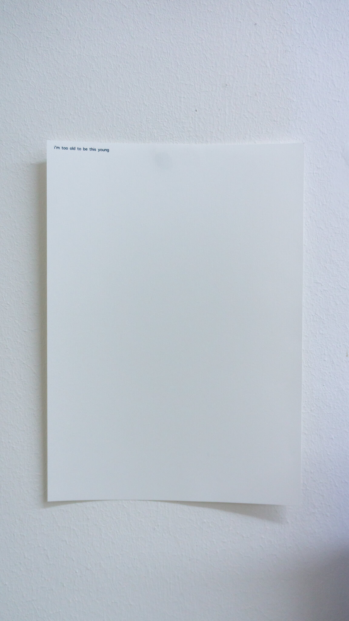 Installation photo of an art show