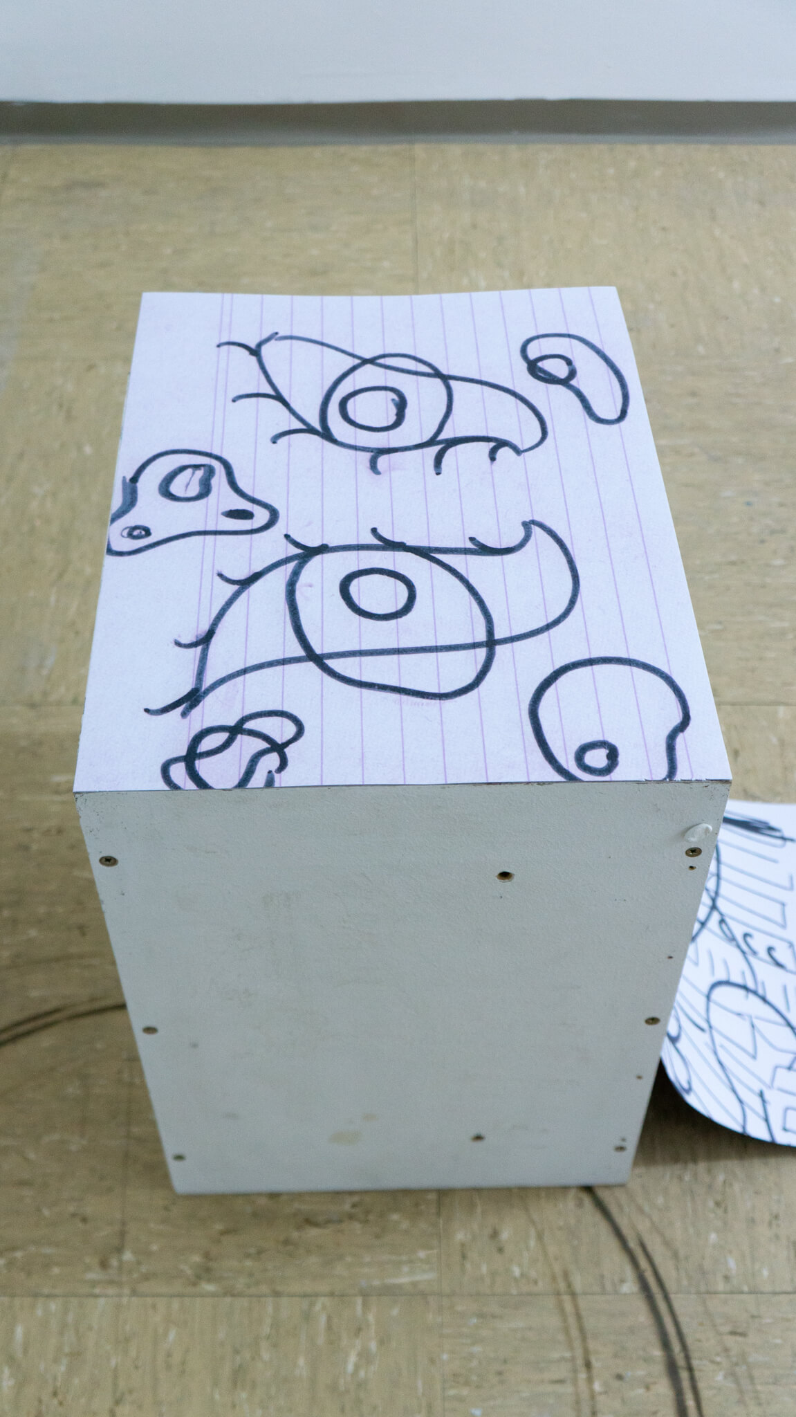 Installation photo of an art show