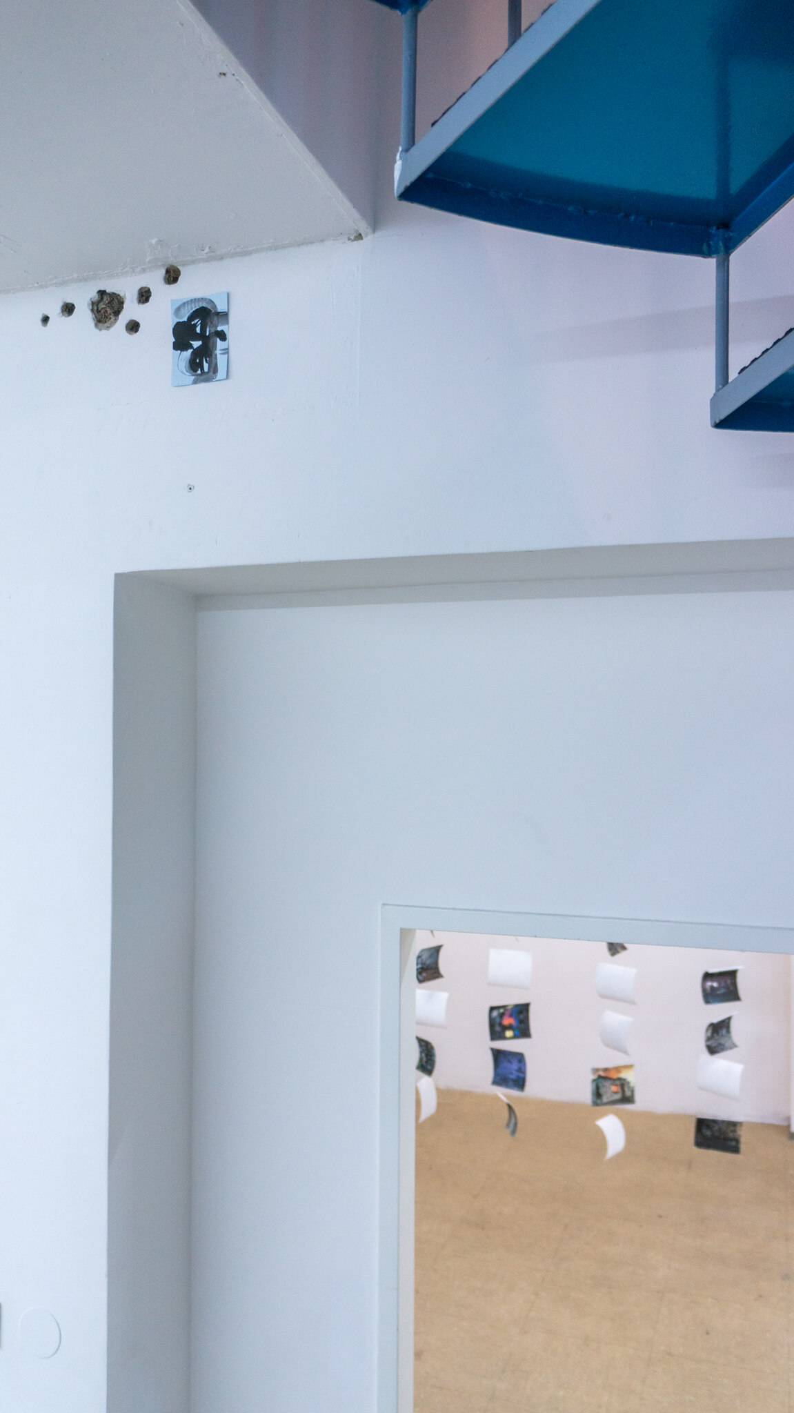 Installation photo of an art show