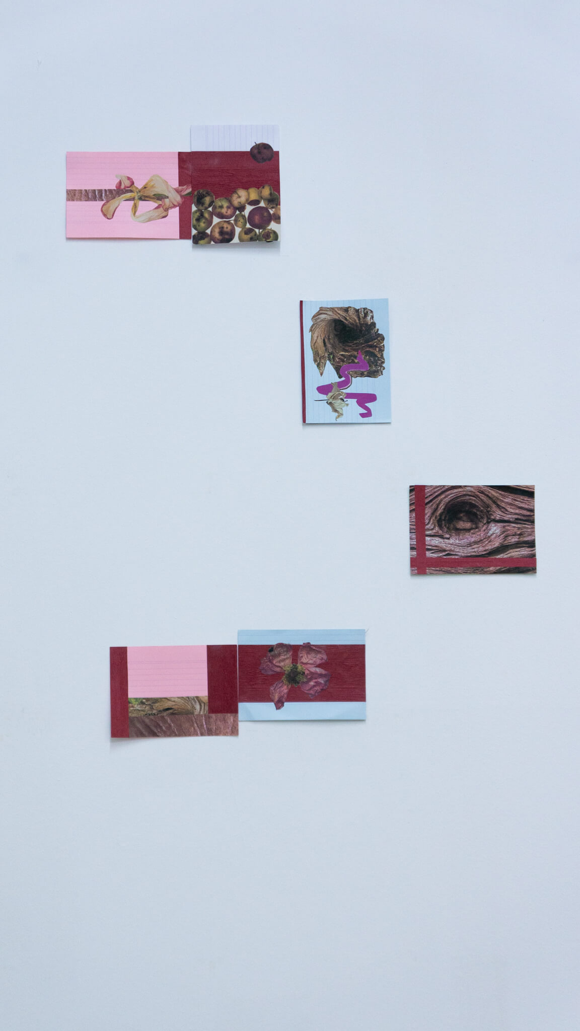 Installation photo of an art show