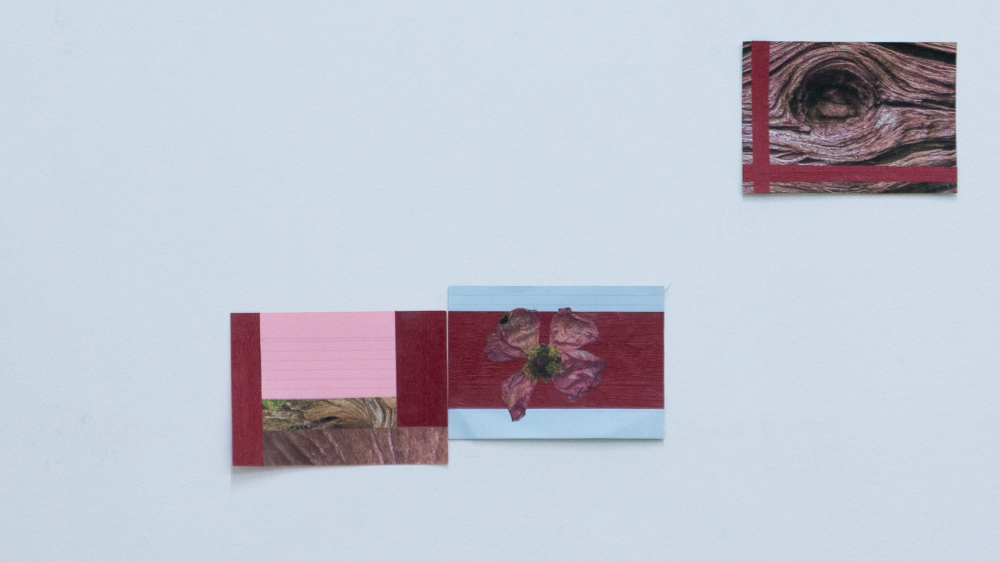 Installation photo of an art show