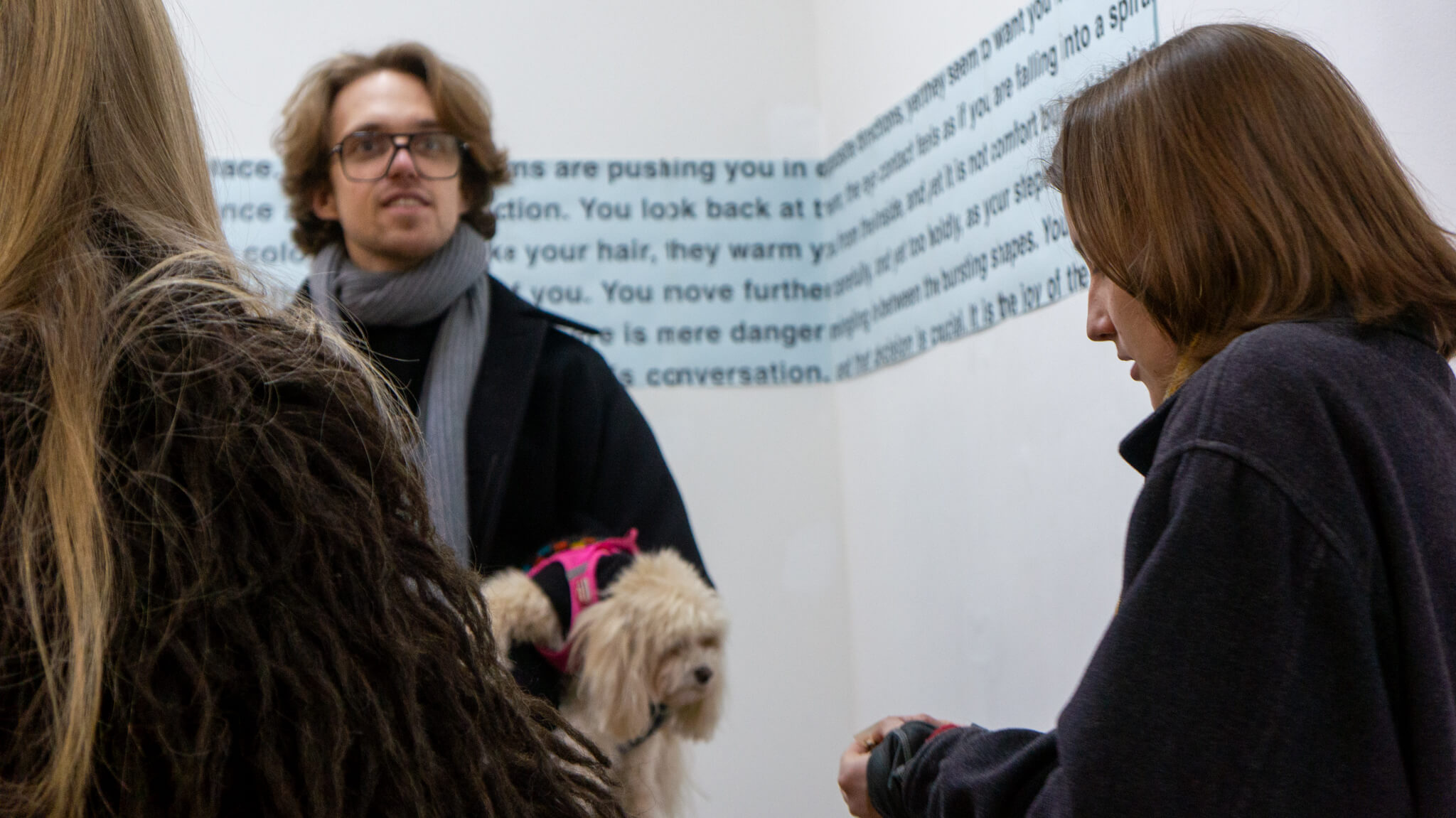 Installation photo of an art show